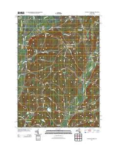 Unadilla Forks New York Historical topographic map, 1:24000 scale, 7.5 X 7.5 Minute, Year 2013