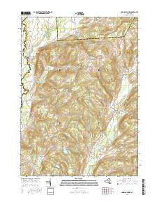 Unadilla Forks New York Current topographic map, 1:24000 scale, 7.5 X 7.5 Minute, Year 2016