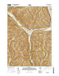 Van Etten New York Current topographic map, 1:24000 scale, 7.5 X 7.5 Minute, Year 2016