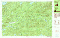 Wakely Mountain New York Historical topographic map, 1:25000 scale, 7.5 X 15 Minute, Year 1990