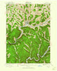 Walton New York Historical topographic map, 1:62500 scale, 15 X 15 Minute, Year 1923