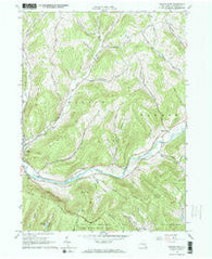 Walton East New York Historical topographic map, 1:24000 scale, 7.5 X 7.5 Minute, Year 1965