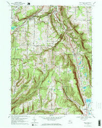 West Danby New York Historical topographic map, 1:24000 scale, 7.5 X 7.5 Minute, Year 1969