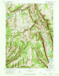 West Danby New York Historical topographic map, 1:24000 scale, 7.5 X 7.5 Minute, Year 1969