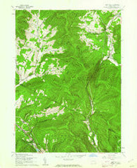 West Kill New York Historical topographic map, 1:24000 scale, 7.5 X 7.5 Minute, Year 1960