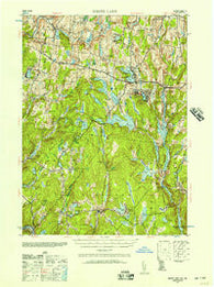White Lake New York Historical topographic map, 1:62500 scale, 15 X 15 Minute, Year 1942