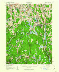 White Lake New York Historical topographic map, 1:62500 scale, 15 X 15 Minute, Year 1943