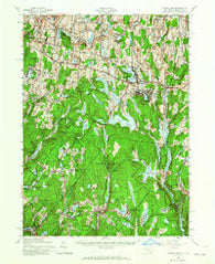 White Lake New York Historical topographic map, 1:62500 scale, 15 X 15 Minute, Year 1943