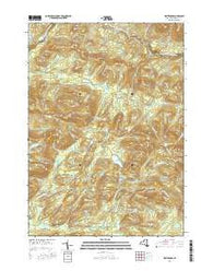 Whitehouse New York Current topographic map, 1:24000 scale, 7.5 X 7.5 Minute, Year 2016