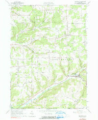 Whitesville New York Historical topographic map, 1:24000 scale, 7.5 X 7.5 Minute, Year 1965