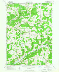 Whitesville New York Historical topographic map, 1:24000 scale, 7.5 X 7.5 Minute, Year 1965