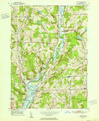 Willet New York Historical topographic map, 1:24000 scale, 7.5 X 7.5 Minute, Year 1951