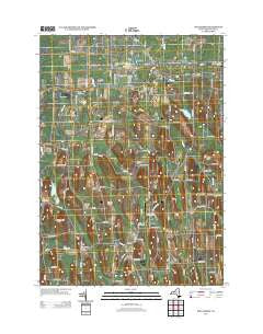 Williamson New York Historical topographic map, 1:24000 scale, 7.5 X 7.5 Minute, Year 2013