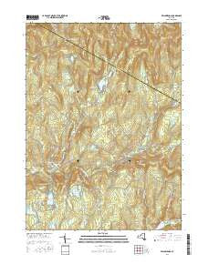 Willowemoc New York Current topographic map, 1:24000 scale, 7.5 X 7.5 Minute, Year 2016