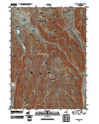 Willseyville New York Historical topographic map, 1:24000 scale, 7.5 X 7.5 Minute, Year 2010
