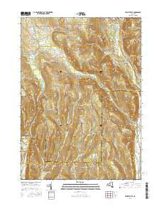 Willseyville New York Current topographic map, 1:24000 scale, 7.5 X 7.5 Minute, Year 2016