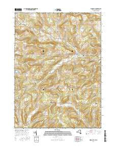 Woodhull New York Current topographic map, 1:24000 scale, 7.5 X 7.5 Minute, Year 2016