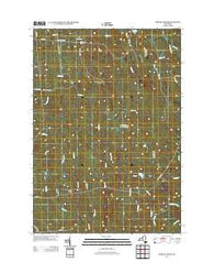 Worth Center New York Historical topographic map, 1:24000 scale, 7.5 X 7.5 Minute, Year 2013