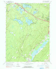 Yankee Lake New York Historical topographic map, 1:24000 scale, 7.5 X 7.5 Minute, Year 1966