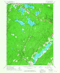 Yankee Lake New York Historical topographic map, 1:24000 scale, 7.5 X 7.5 Minute, Year 1966