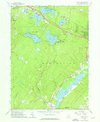 Yankee Lake New York Historical topographic map, 1:24000 scale, 7.5 X 7.5 Minute, Year 1966