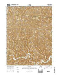 Cameron Ohio Historical topographic map, 1:24000 scale, 7.5 X 7.5 Minute, Year 2013