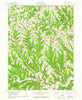Cameron Ohio Historical topographic map, 1:24000 scale, 7.5 X 7.5 Minute, Year 1960