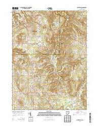Chesterland Ohio Historical topographic map, 1:24000 scale, 7.5 X 7.5 Minute, Year 2013