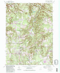 Chesterland Ohio Historical topographic map, 1:24000 scale, 7.5 X 7.5 Minute, Year 1994