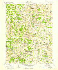Flushing Ohio Historical topographic map, 1:24000 scale, 7.5 X 7.5 Minute, Year 1961