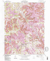 Flushing Ohio Historical topographic map, 1:24000 scale, 7.5 X 7.5 Minute, Year 1994