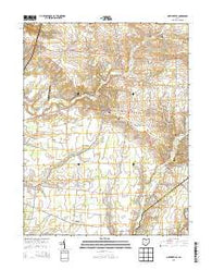 Martinsville Ohio Historical topographic map, 1:24000 scale, 7.5 X 7.5 Minute, Year 2013