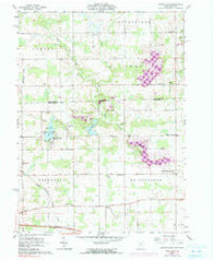 Nettle Lake Ohio Historical topographic map, 1:24000 scale, 7.5 X 7.5 Minute, Year 1961