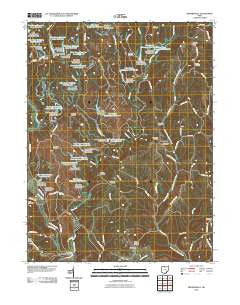 Reinersville Ohio Historical topographic map, 1:24000 scale, 7.5 X 7.5 Minute, Year 2010