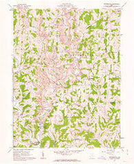 Reinersville Ohio Historical topographic map, 1:24000 scale, 7.5 X 7.5 Minute, Year 1961