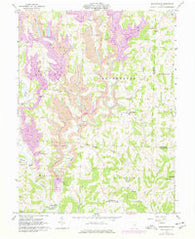 Reinersville Ohio Historical topographic map, 1:24000 scale, 7.5 X 7.5 Minute, Year 1961