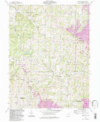 Ruraldale Ohio Historical topographic map, 1:24000 scale, 7.5 X 7.5 Minute, Year 1994