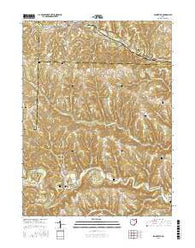 Salineville Ohio Current topographic map, 1:24000 scale, 7.5 X 7.5 Minute, Year 2016