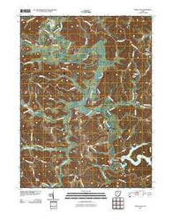 Tippecanoe Ohio Historical topographic map, 1:24000 scale, 7.5 X 7.5 Minute, Year 2010