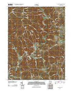 Vales Mills Ohio Historical topographic map, 1:24000 scale, 7.5 X 7.5 Minute, Year 2010
