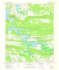 Adamson Oklahoma Historical topographic map, 1:24000 scale, 7.5 X 7.5 Minute, Year 1967