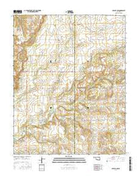 Chelsea NW Oklahoma Current topographic map, 1:24000 scale, 7.5 X 7.5 Minute, Year 2016