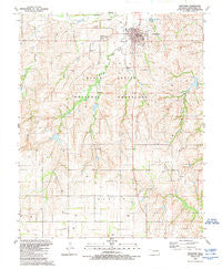 Cheyenne Oklahoma Historical topographic map, 1:24000 scale, 7.5 X 7.5 Minute, Year 1989