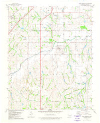 East Ninnekah Oklahoma Historical topographic map, 1:24000 scale, 7.5 X 7.5 Minute, Year 1981