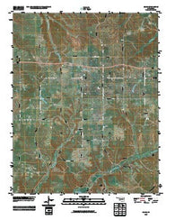 Leach Oklahoma Historical topographic map, 1:24000 scale, 7.5 X 7.5 Minute, Year 2010