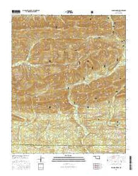 Lynn Mountain Oklahoma Current topographic map, 1:24000 scale, 7.5 X 7.5 Minute, Year 2016