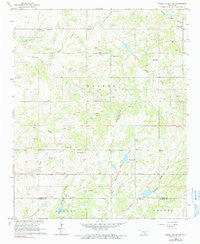Pauls Valley NE Oklahoma Historical topographic map, 1:24000 scale, 7.5 X 7.5 Minute, Year 1965