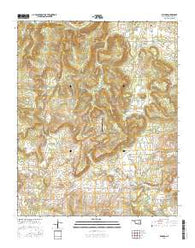 Raiford Oklahoma Current topographic map, 1:24000 scale, 7.5 X 7.5 Minute, Year 2016