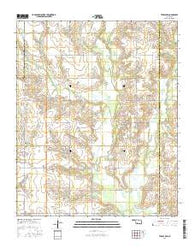 Temple NW Oklahoma Current topographic map, 1:24000 scale, 7.5 X 7.5 Minute, Year 2016
