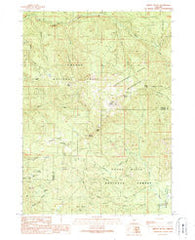 Abbott Butte Oregon Historical topographic map, 1:24000 scale, 7.5 X 7.5 Minute, Year 1989